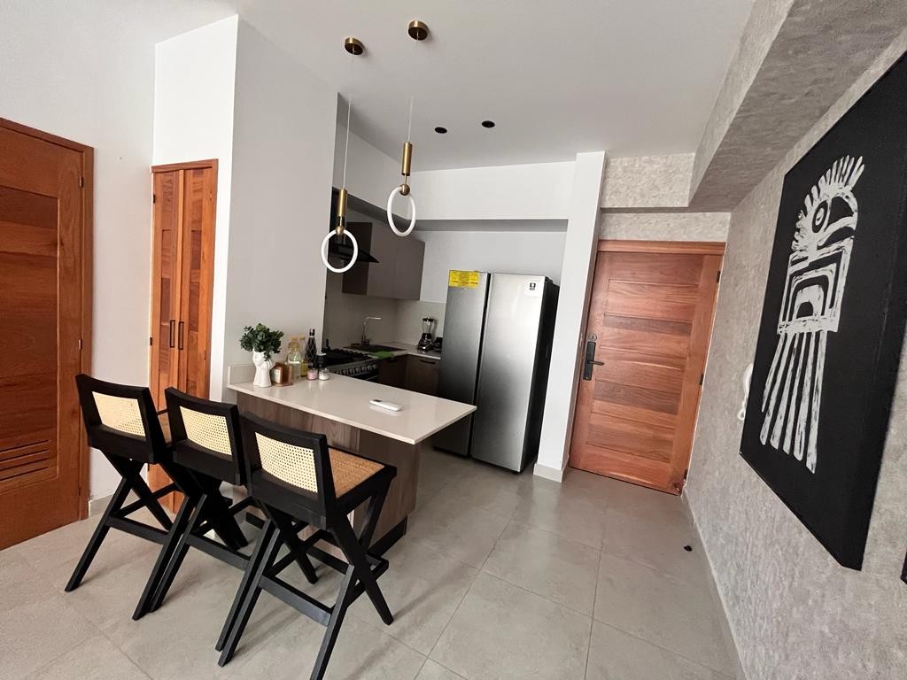 apartamentos - Preciso apartamento moderno, amueblado de 2h en la esperilla. 0
