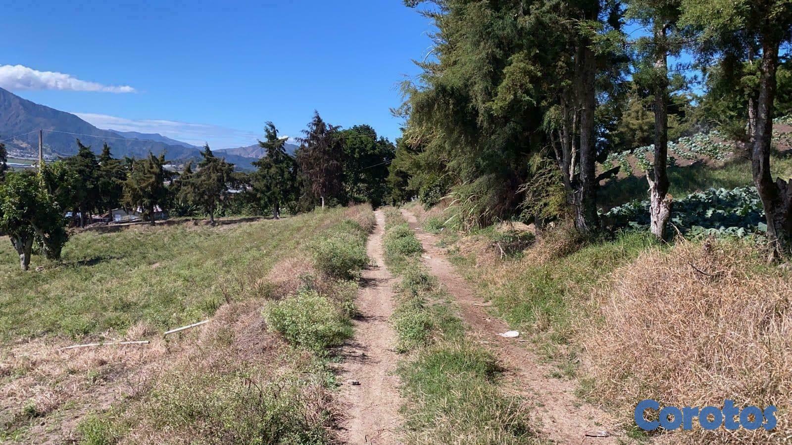 solares y terrenos - Venta de Solares en Constanza - Excelente Ubicación 2