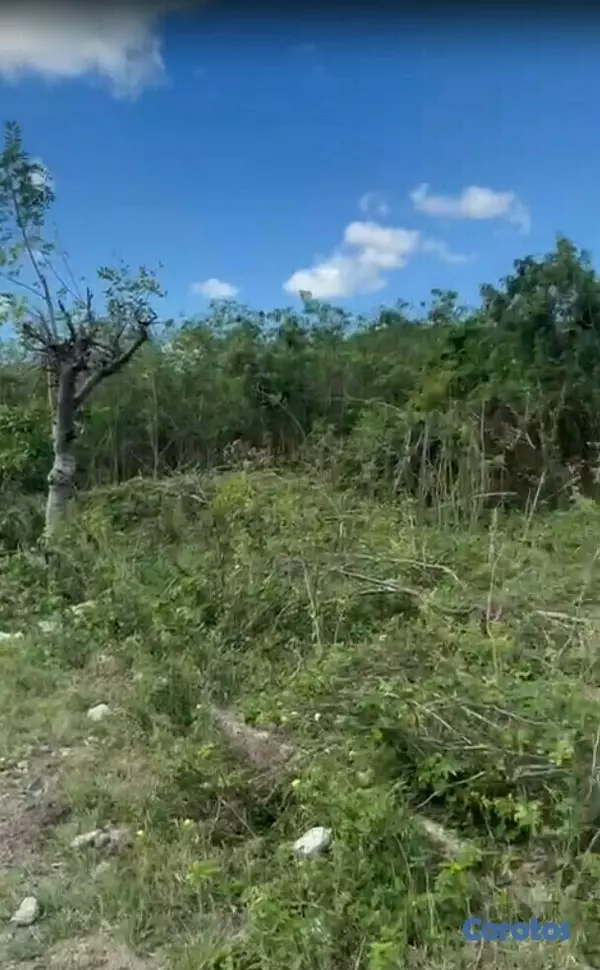 solares y terrenos - ¡Yaguate Amplio Solar 3,155M2! 2