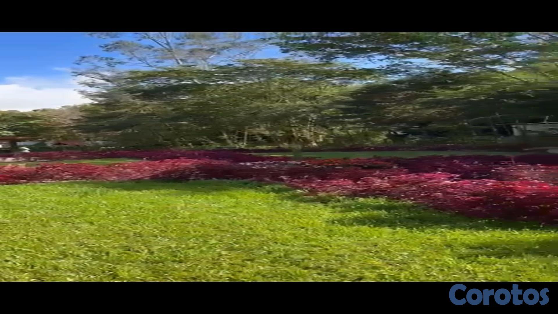 solares y terrenos - Solar en venta en Constanza ideal para cabañas 4