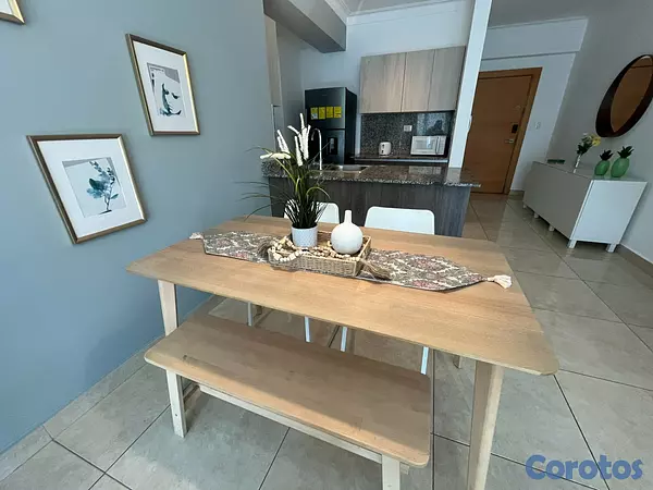 apartamentos - Apartamento en Alquiler en Naco Amueblado de UNA H 10