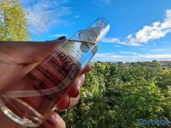 salud y belleza - la linea de pelo y piel que te aporta el glow up quw necesitas 4
