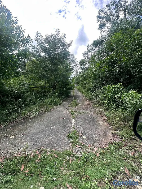 solares y terrenos - Villa Altagracia: 41,000 m² Listos para Tu Próximo Gran Proyecto.  8