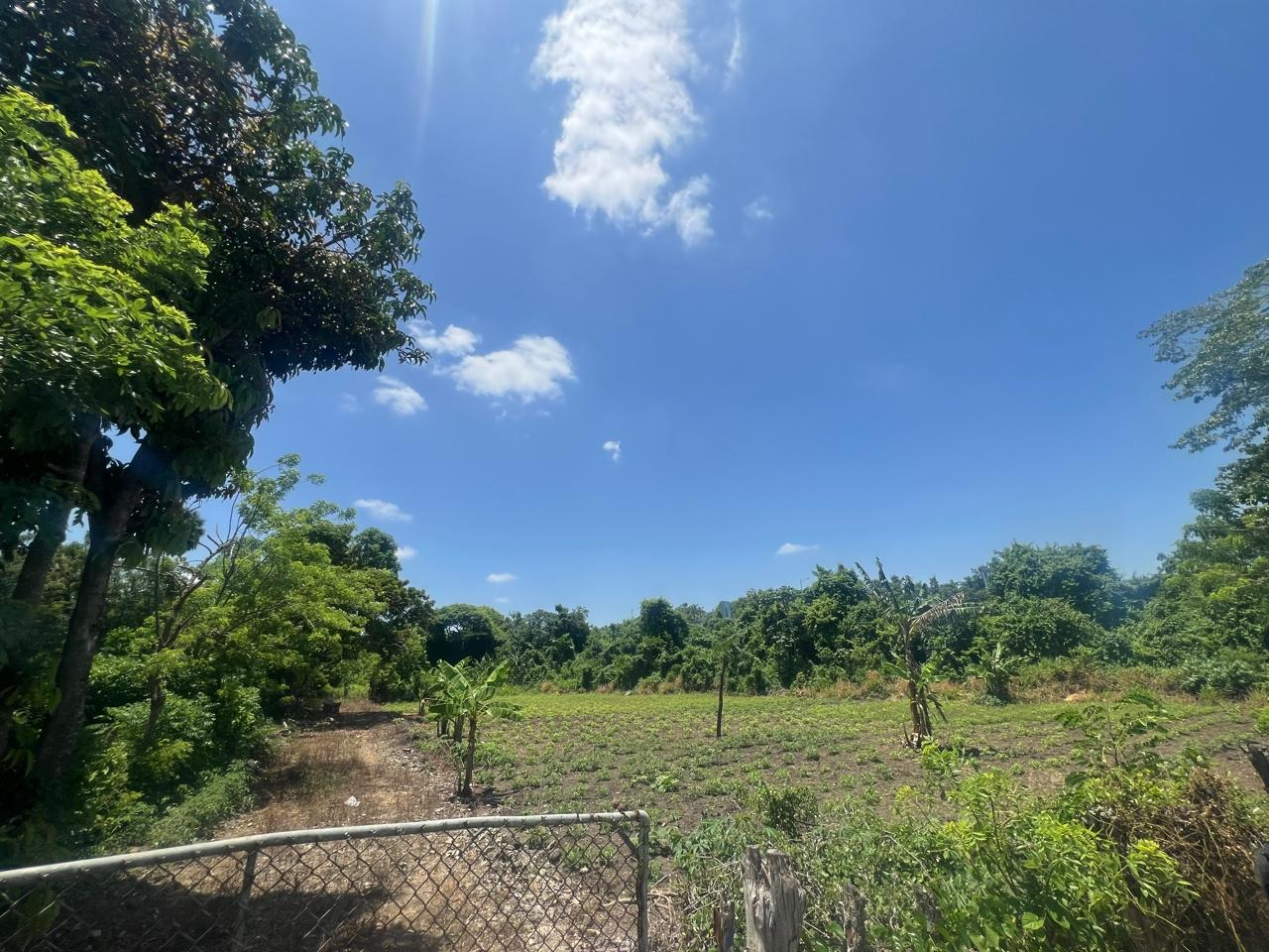 solares y terrenos - Terreno de Venta en Circunvalacion Norte 1