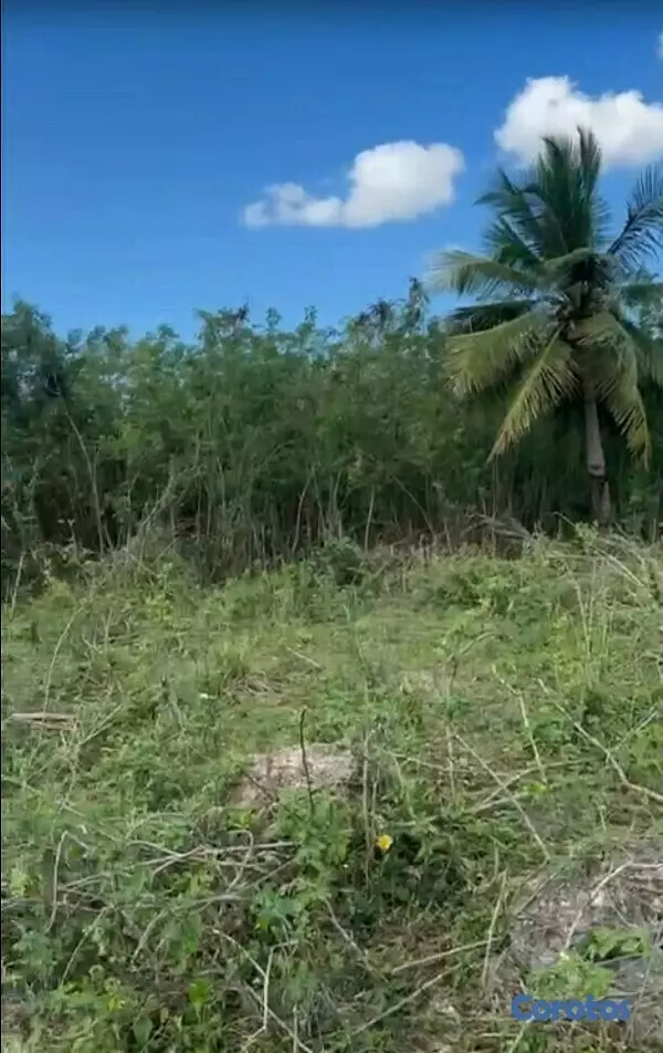 solares y terrenos - ¡Yaguate Amplio Solar 3,155M2! 3