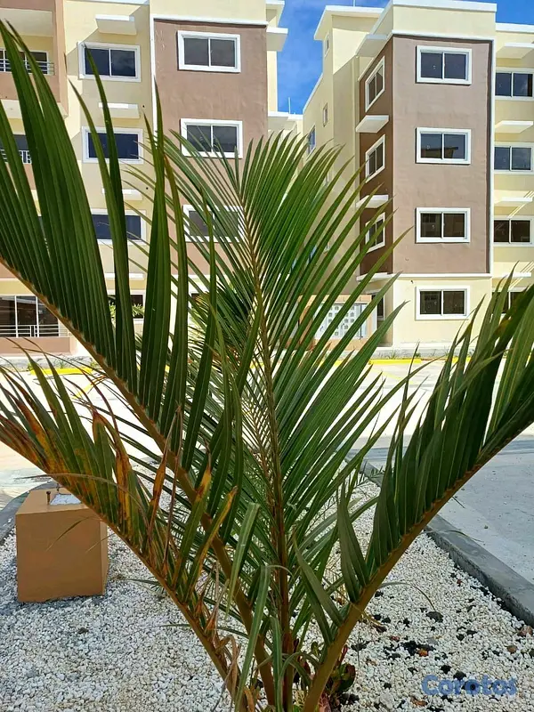 apartamentos - Apartamento en colinas del bosque con aire condicionado gratis. 13