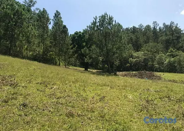 solares y terrenos - TERRENO EN VENTA - JARABACOA. 1