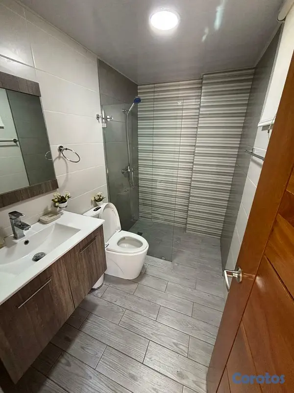 apartamentos - Apartamento con Terraza en Venta en Renacimiento 6