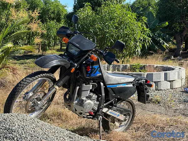 motores y pasolas - vendo  2