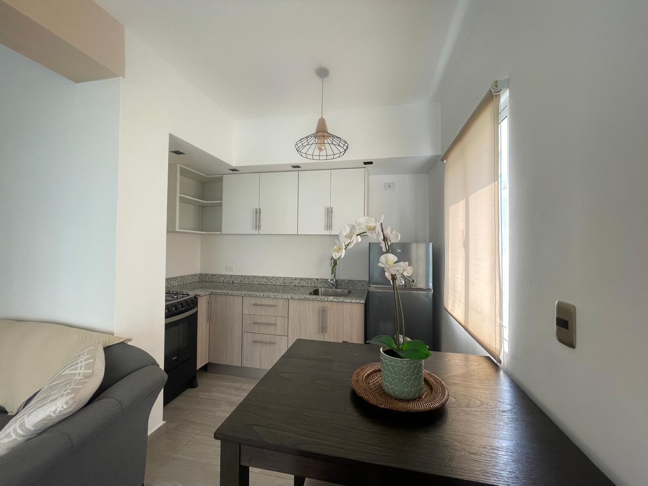 apartamentos - Alquiler Apartamento Amueblado  Evaristo Morales  1