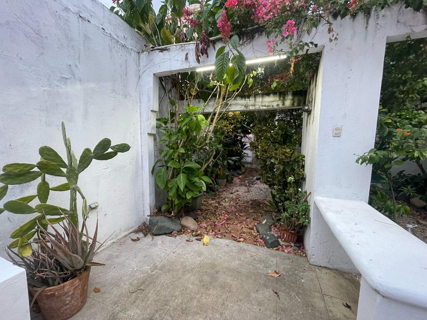 casas - Vendo Casa y/o Propiedad de Oportunidad En Gazcue para Negocio o Vivienda. PD174 8
