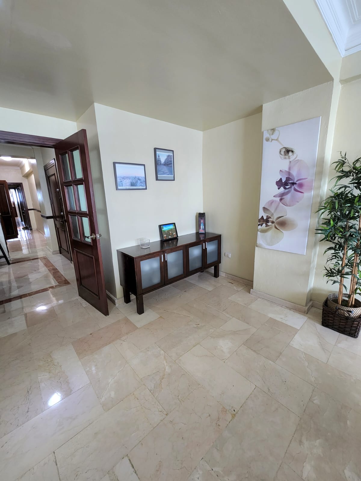 apartamentos - Alquilo apartamento amueblado en Piantini  4