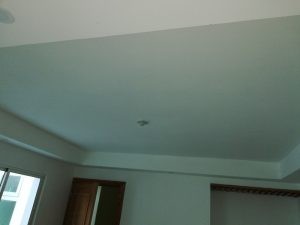 casas - APARTAMENTO TIPO PENHOUSE AUTOPISTA SAN ISIDRO (8) 2