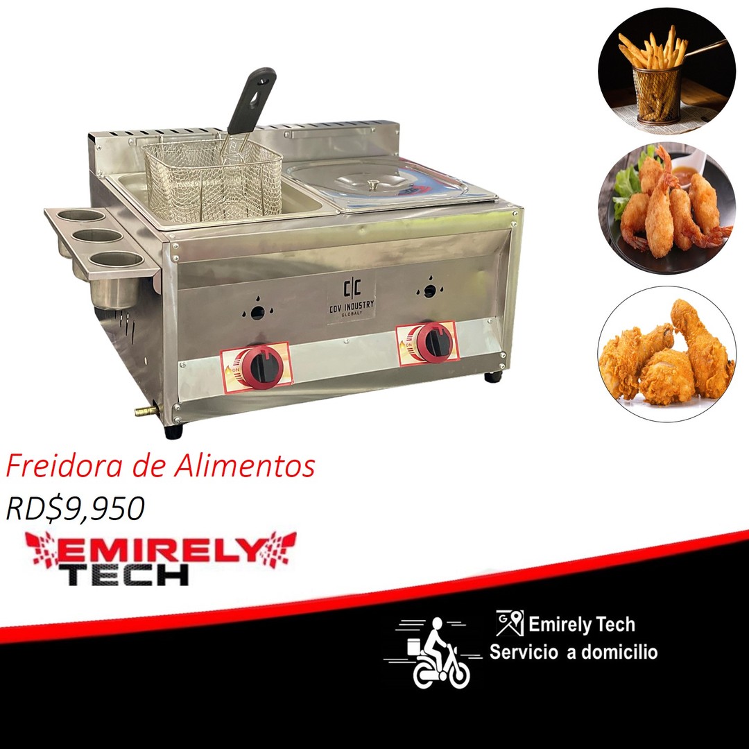 equipos profesionales - Freidora de gas de doble envase de 10 litros con escurridora para papa pollo 0