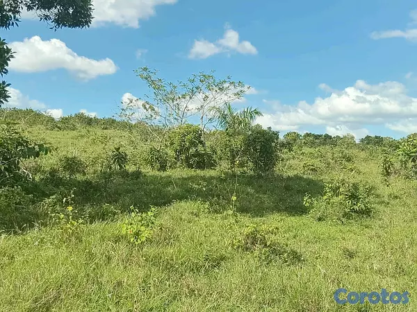 solares y terrenos - finca de 294 tareas de vocación agrícola en Monte Plata  4