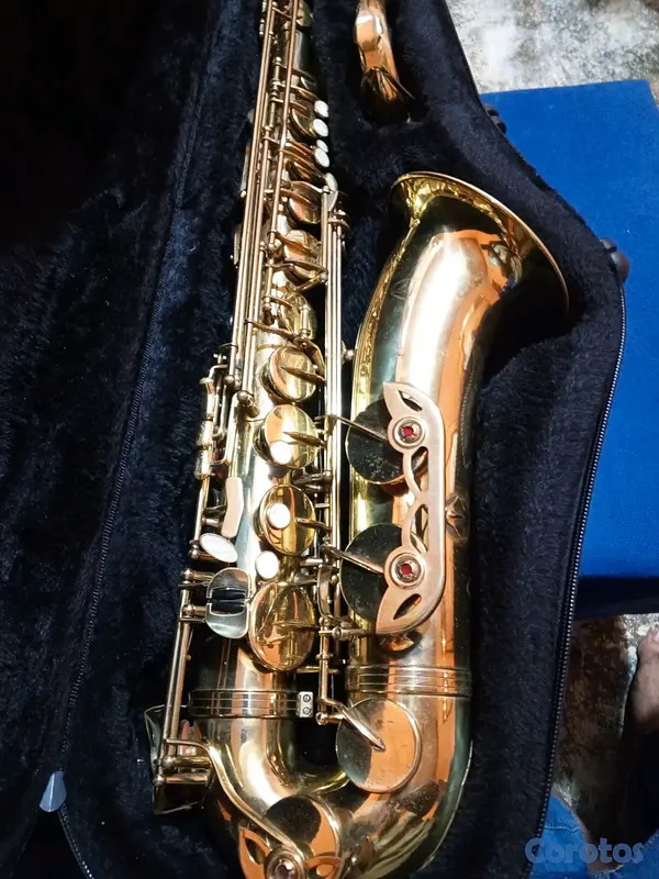instrumentos musicales - saxofón tenor 9