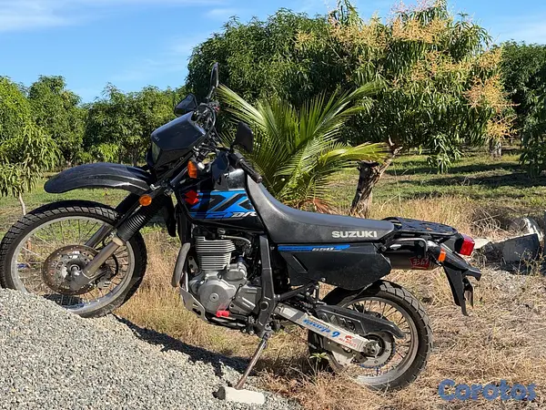 motores y pasolas - vendo  3