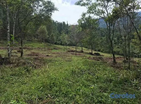 solares y terrenos - TERRENO EN VENTA - JARABACOA. 4