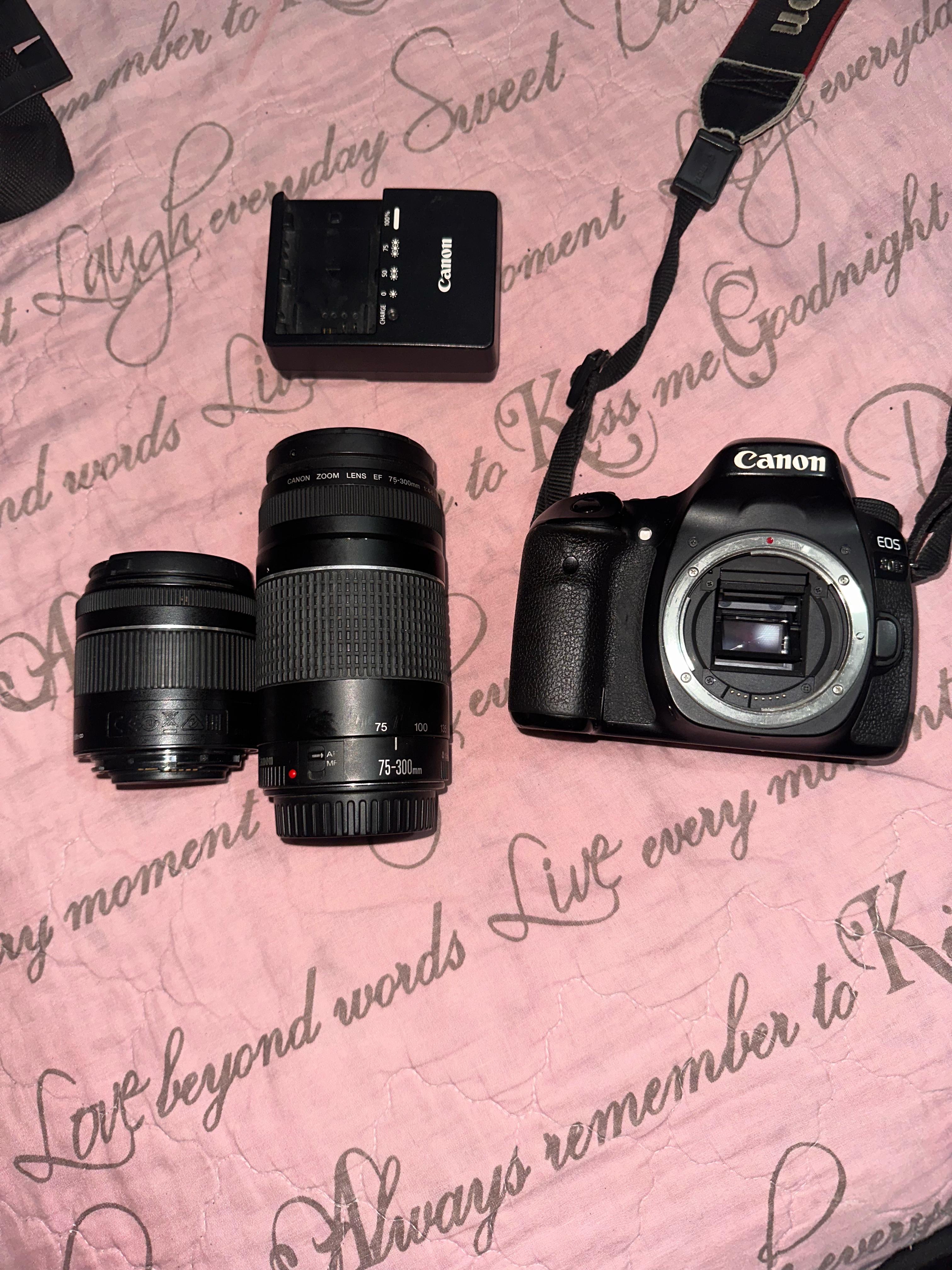 camaras y audio - Canon EOS 80D 1