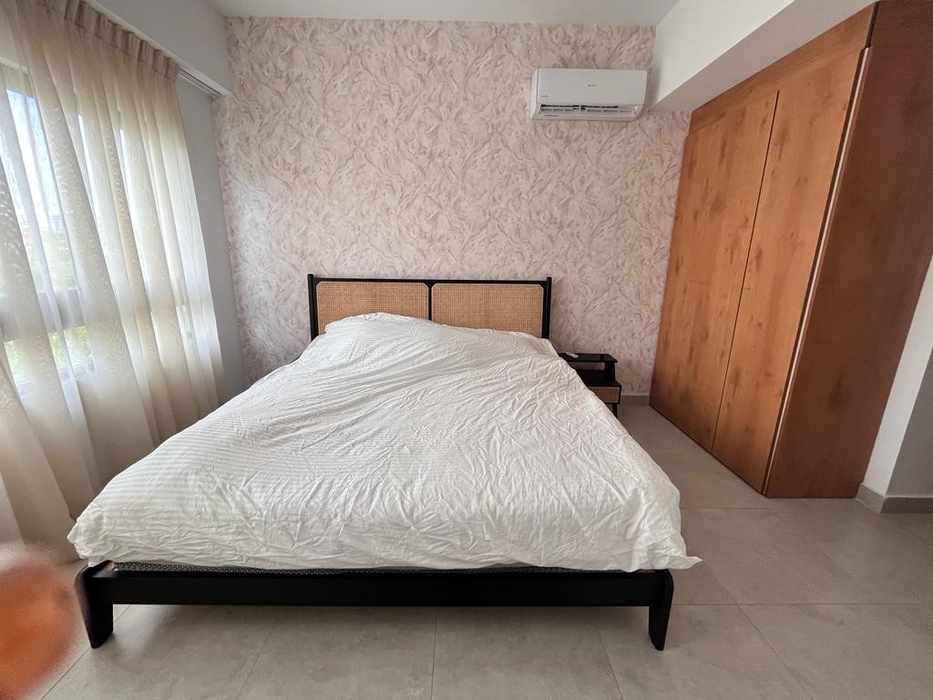 apartamentos - Preciso apartamento moderno, amueblado de 2h en la esperilla. 6