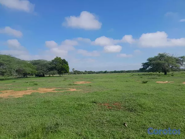 solares y terrenos - 🔵 Finca de 2,178.54 TAREAS en Guayubin, Cabeza de  1