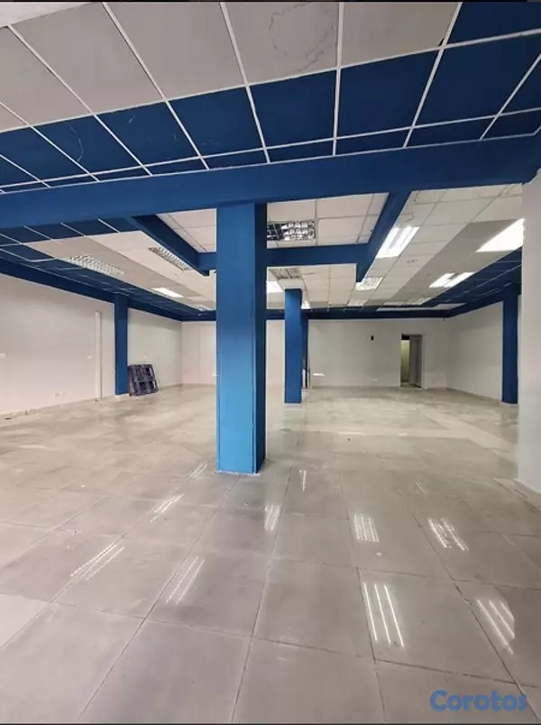 oficinas y locales comerciales - LOCAL COMERCIAL  6