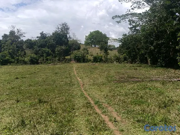 solares y terrenos - finca de 182 tareas en Monte Plata  12