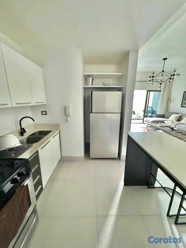 apartamentos - Apartamento amueblado en alquiler- Piantini  6