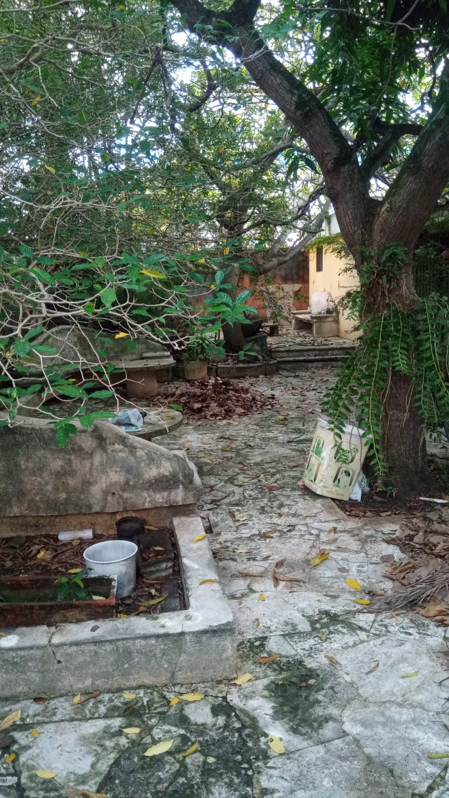 casas - Vendo casa en el Sector  Los Prados📍 ✨Ideal para  5