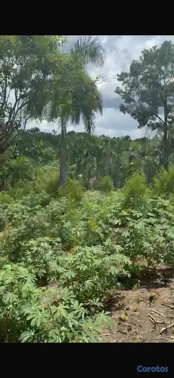 solares y terrenos - Terrena Monte Plata - Varacapa  5