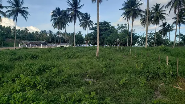 solares y terrenos - Solar en venta en Sanchez - Samana 3