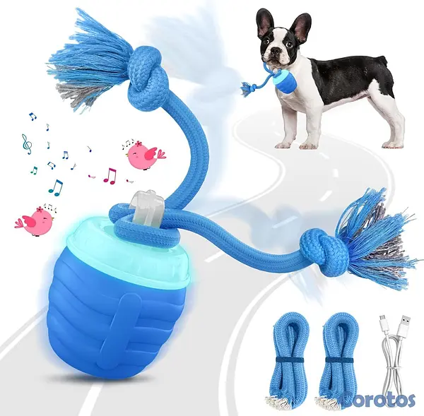 animales y mascotas - Juguete interactivo para perro - Pelotas activadas 3