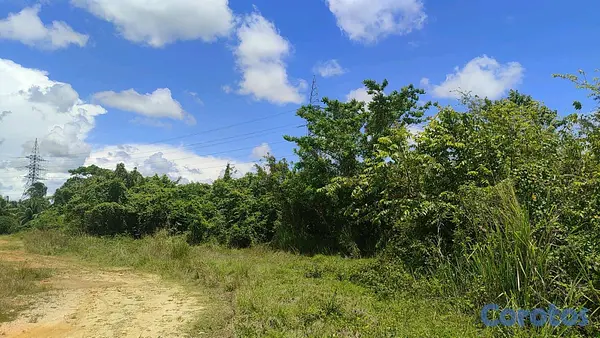 solares y terrenos - finca por secciones en Monte Plata  2