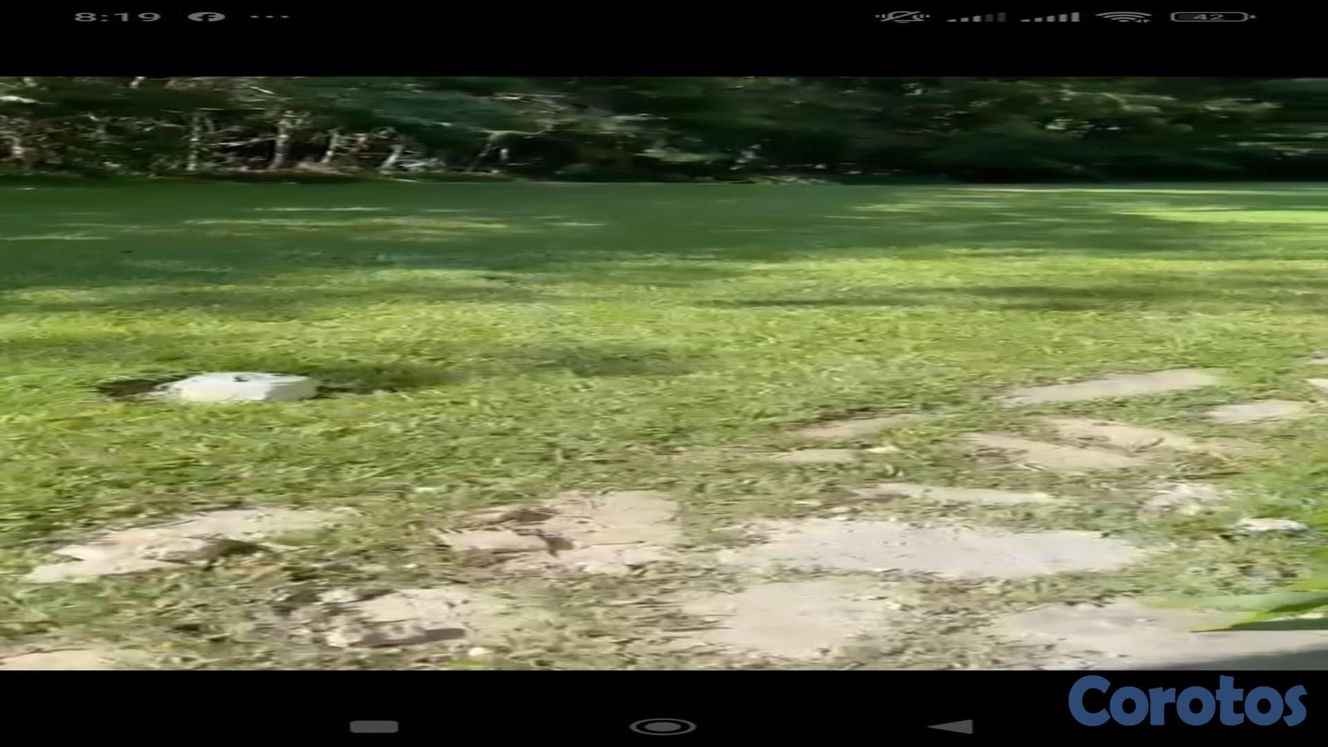 solares y terrenos - Solar en venta en Constanza ideal para cabañas 10