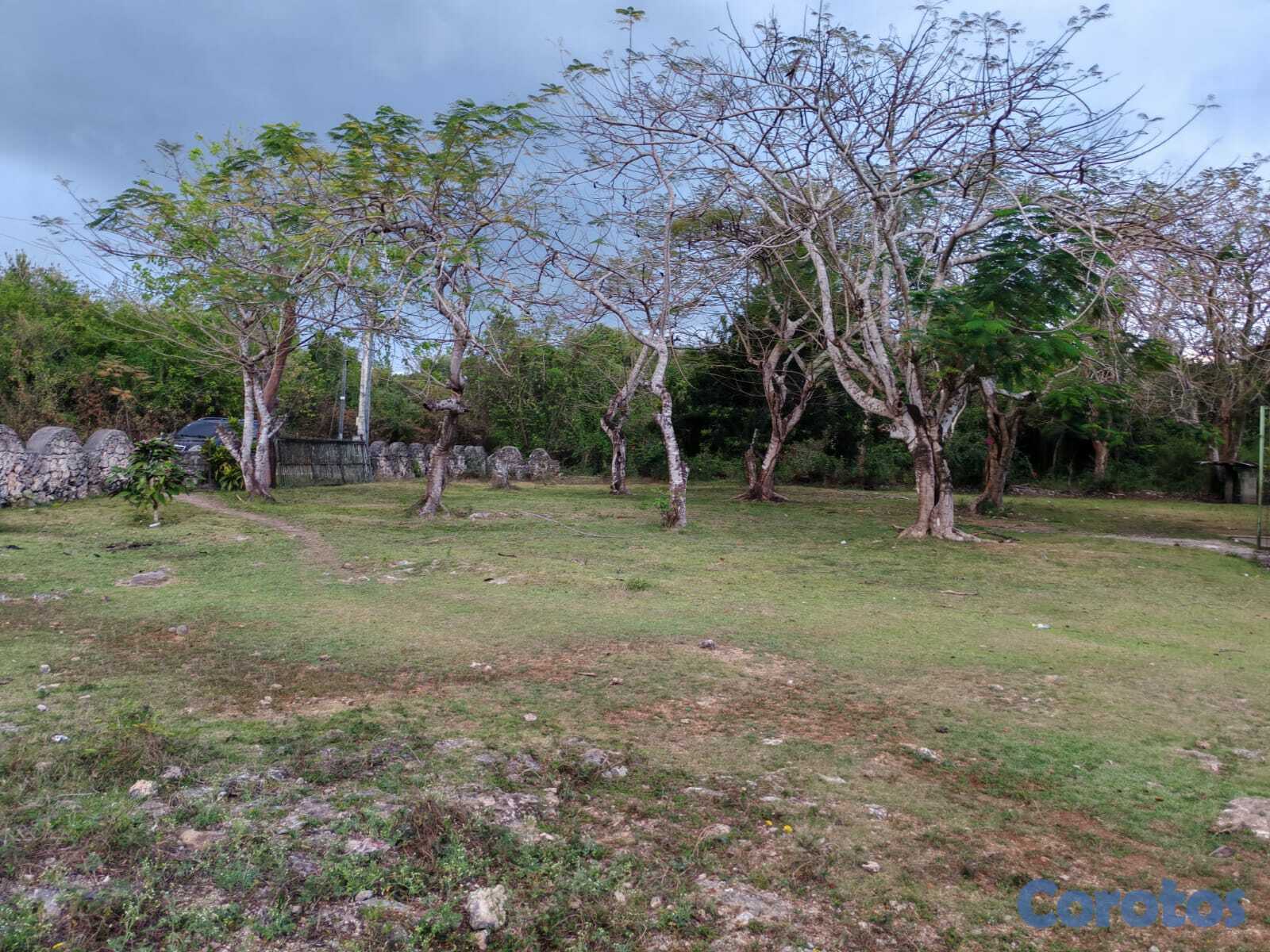 solares y terrenos - 14,000 Mts.2 de Terreno JUSTO AL LADO de GUAVABERRY en Juan Dolio 2