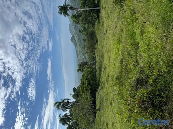 solares y terrenos - 🌿 Tropical Breeze Cupey – Proyecto Ecológico  4
