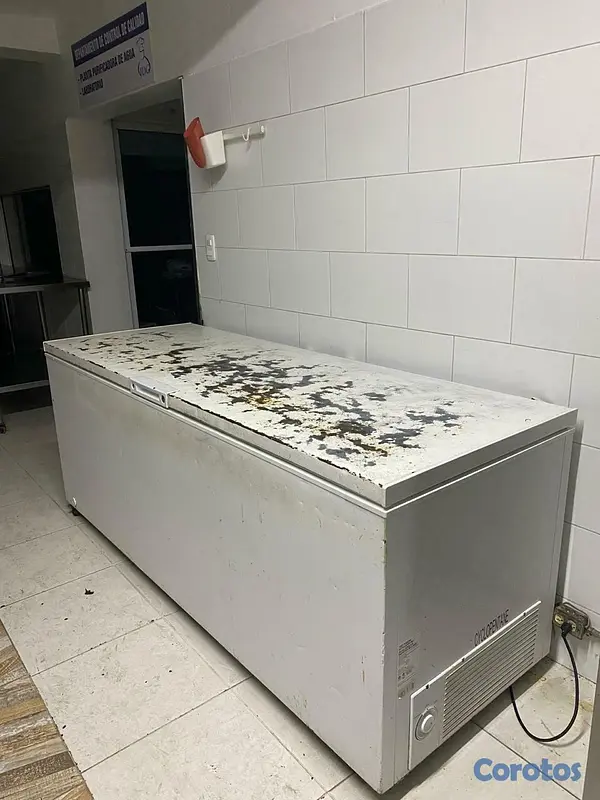 equipos profesionales - Se venden artículos poco uso para cocina industria 10