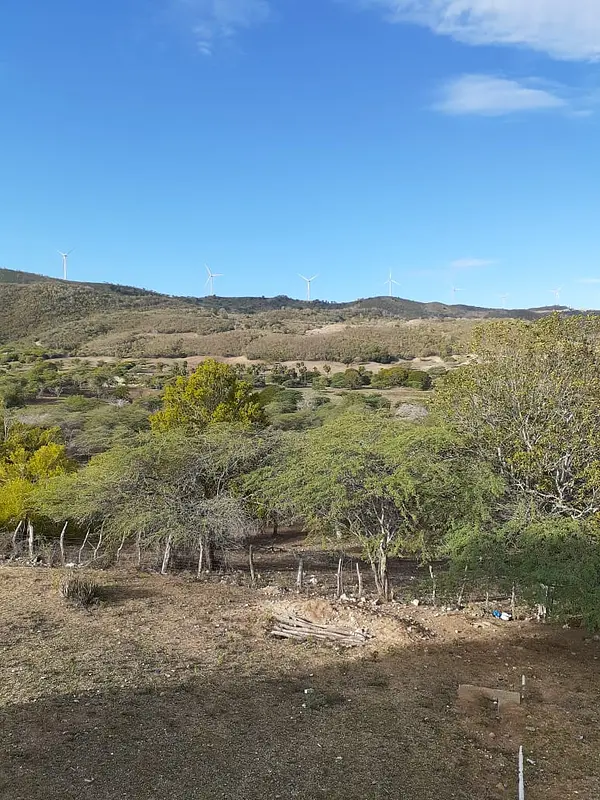 solares y terrenos - Terreno Turístico o para proyecto eléctrico.  2
