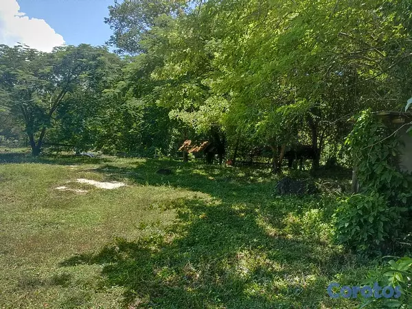 solares y terrenos - Se vendé este terreno con título definitivo  4