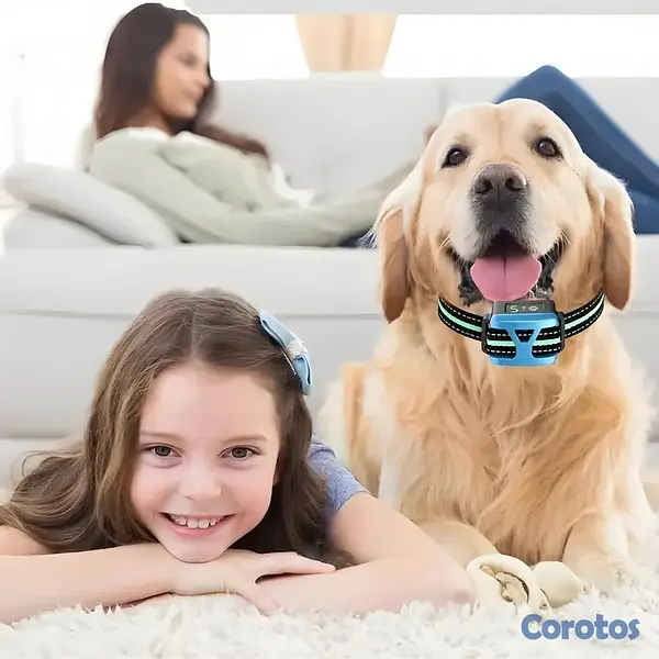 animales y mascotas - Collar Antiladridos para Perros – Recargable con V 3