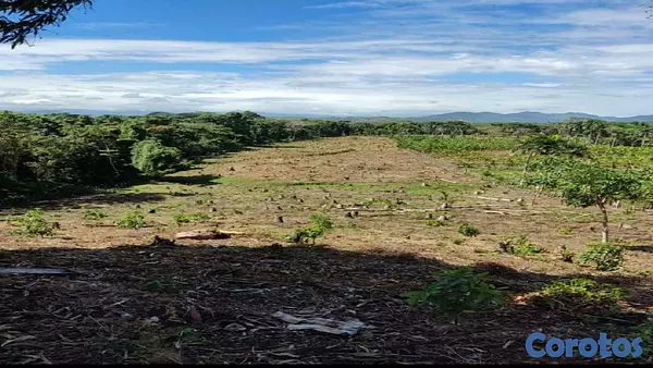 solares y terrenos - En Venta Finca en la Guayiha Proximo Merca Santo Domingo 1