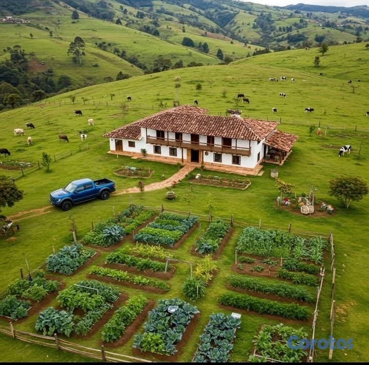 candidatos - Mi esposo y yo buscamos empleo con dormida 1