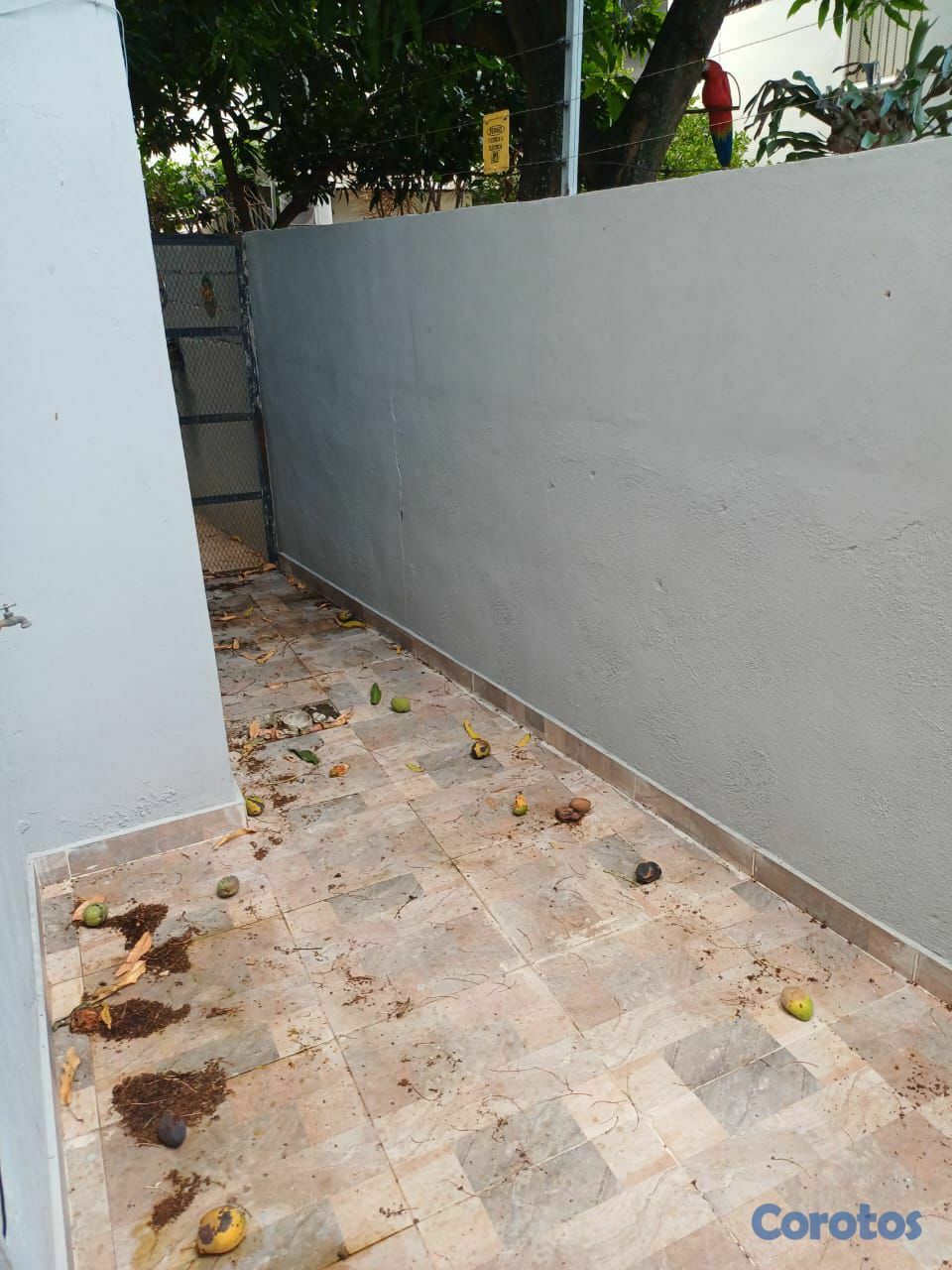 apartamentos - ALQUILER APARTAMENTO EN LA ESPAÑOLA  10