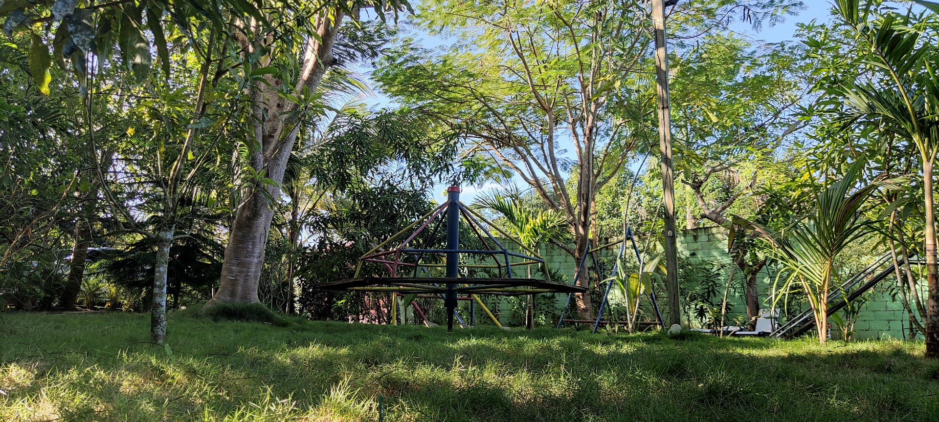 solares y terrenos -  Finca Amueblada, Tu Oportunidad de Negocio, La Oportunidad que Esperaba 8