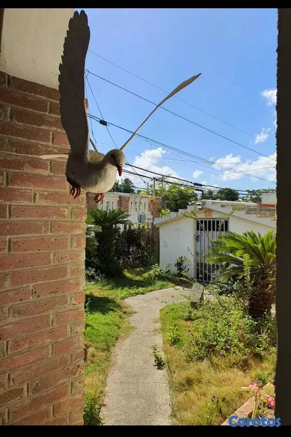 casas - Casa en esperanza  3
