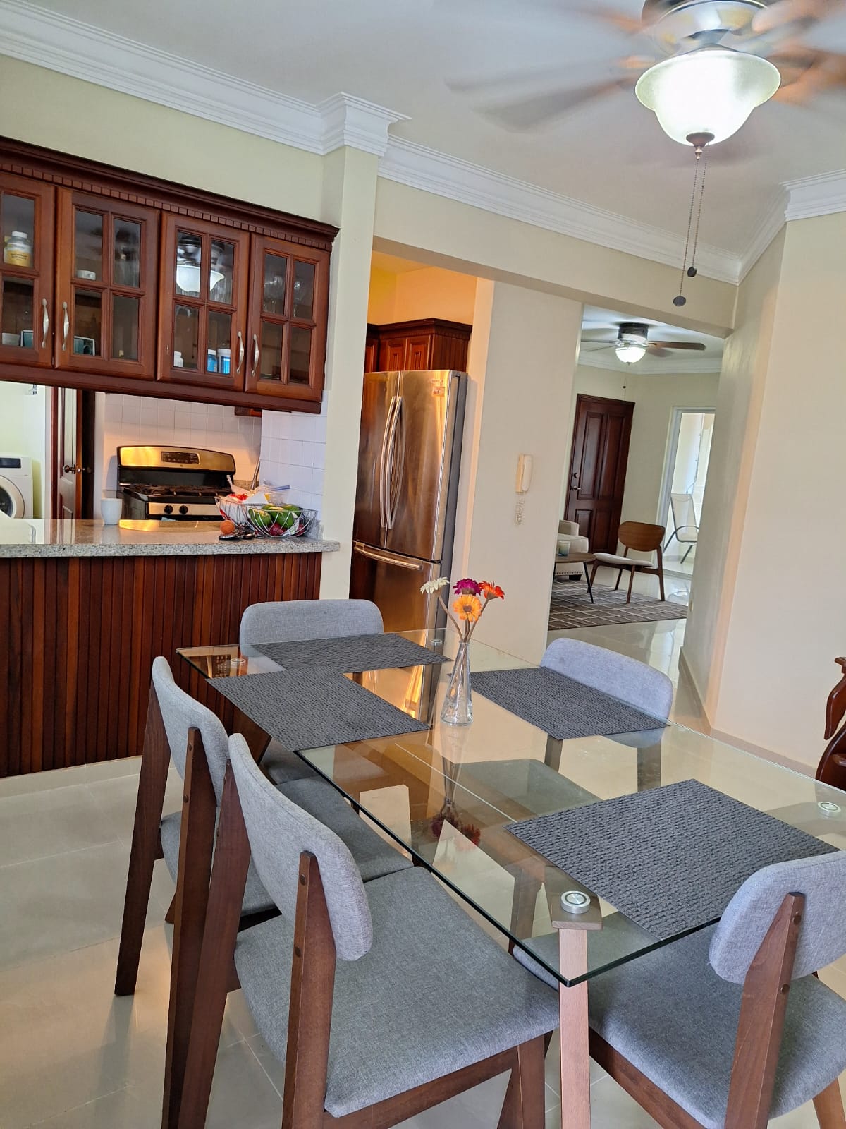 apartamentos - Rento apartamento amueblado 2da con terraza 3