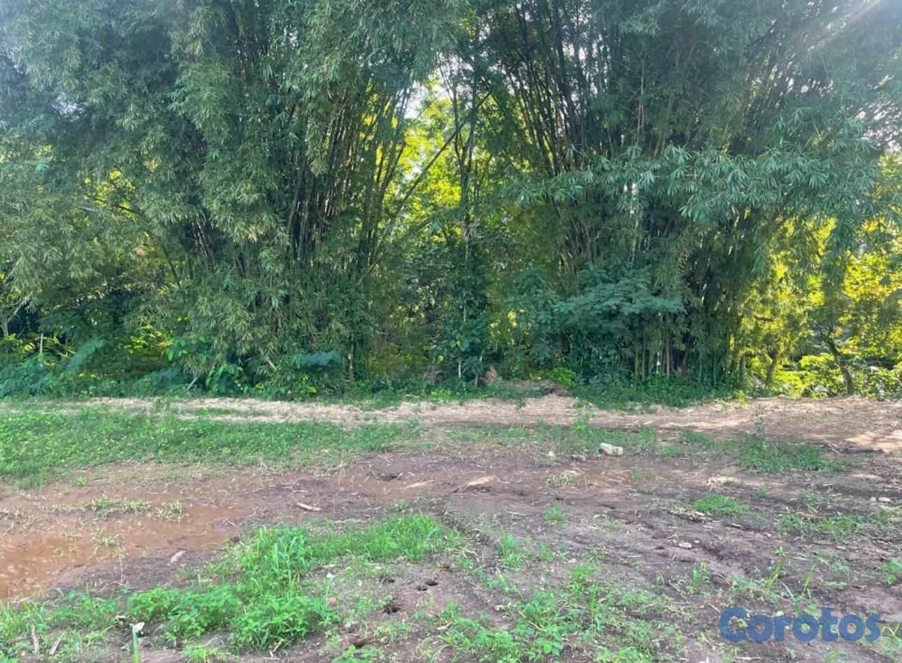 solares y terrenos - Venta solar de 1,111 metros – Piedra Blanca Bonao 1