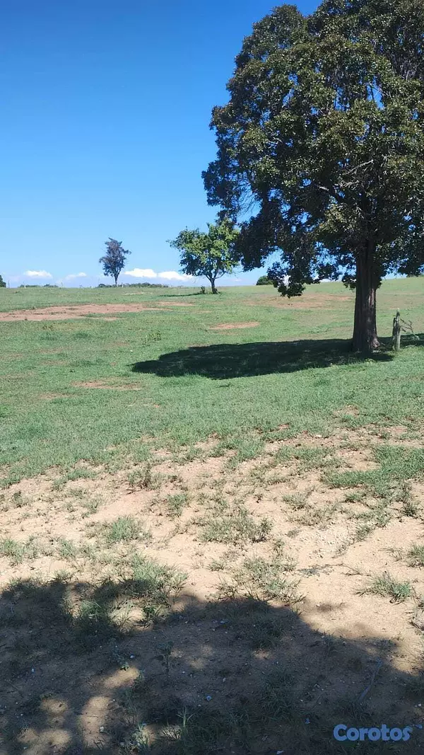 solares y terrenos - Finca Con Titulo 226 Tareas de Tierra.  5