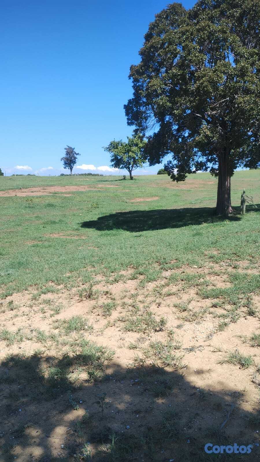 solares y terrenos - Finca Con Titulo 226 Tareas de Tierra.  5