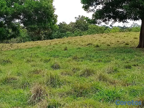 solares y terrenos - finca de 100 tareas con vocación agrícola y ganadera en yamasa  4